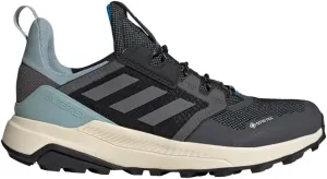 adidas Men's Terrex Trailmaker Gore-tex Hiking Shoe