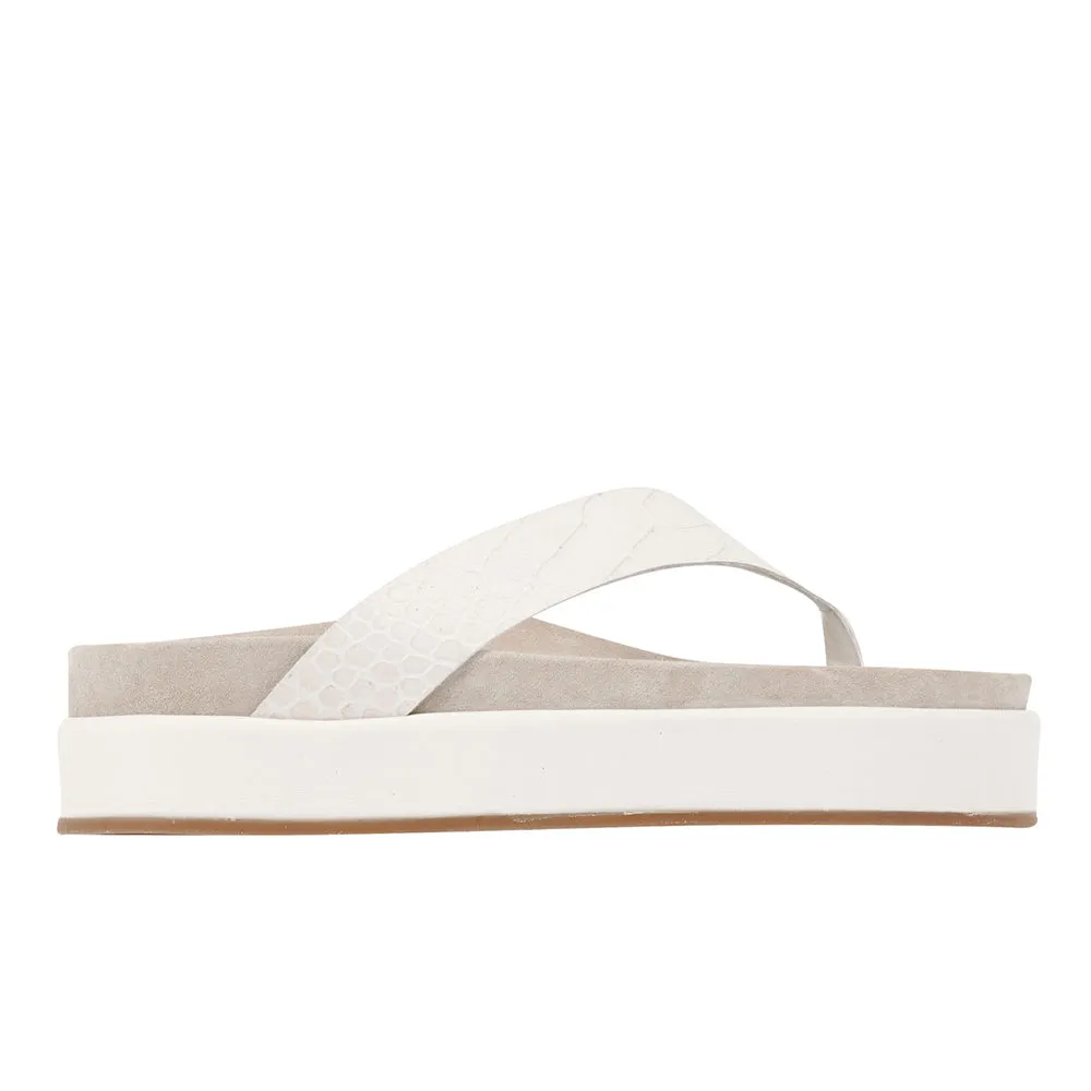 Charys 2Flatform