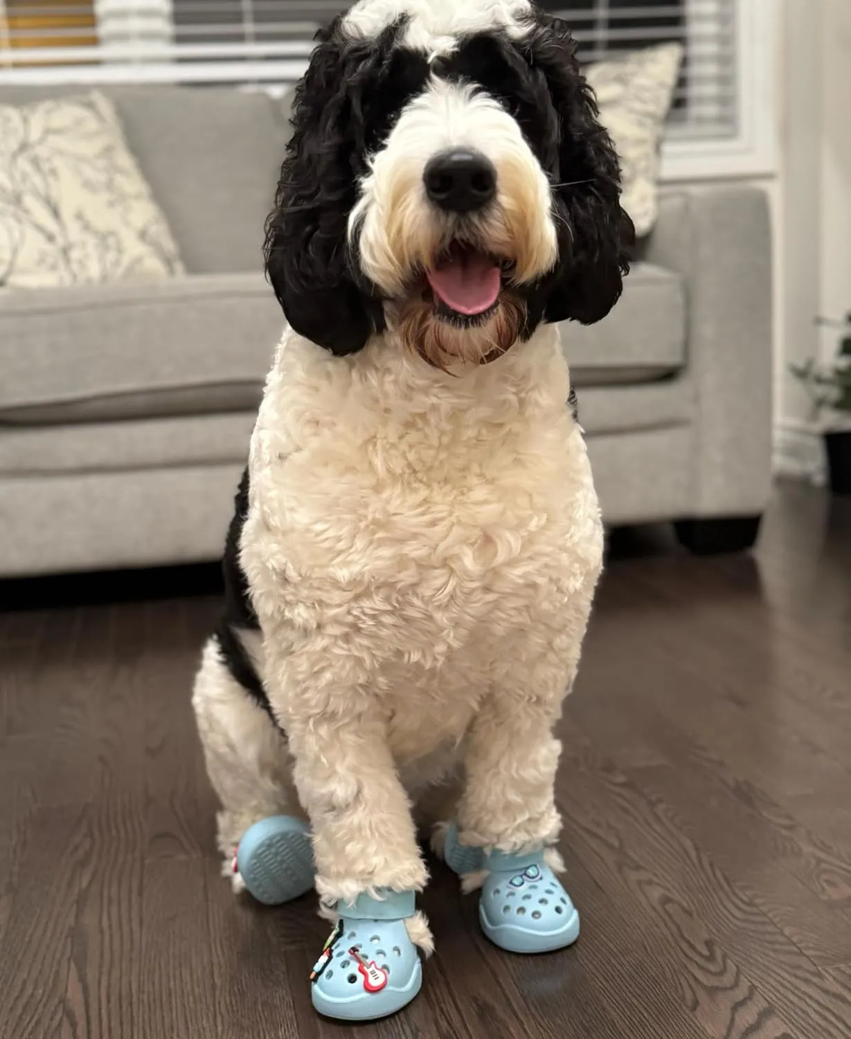Dog Shoes: Non-Slip Waterproof Sandals for Hot Pavement & Winter, Breathable Perforated Boots, Large/Medium/Small Sizes, Ideal Paw Protector, Outdoor Clog Booties (Pink, Size 1: (1.92’'x1.49'')(L*W))