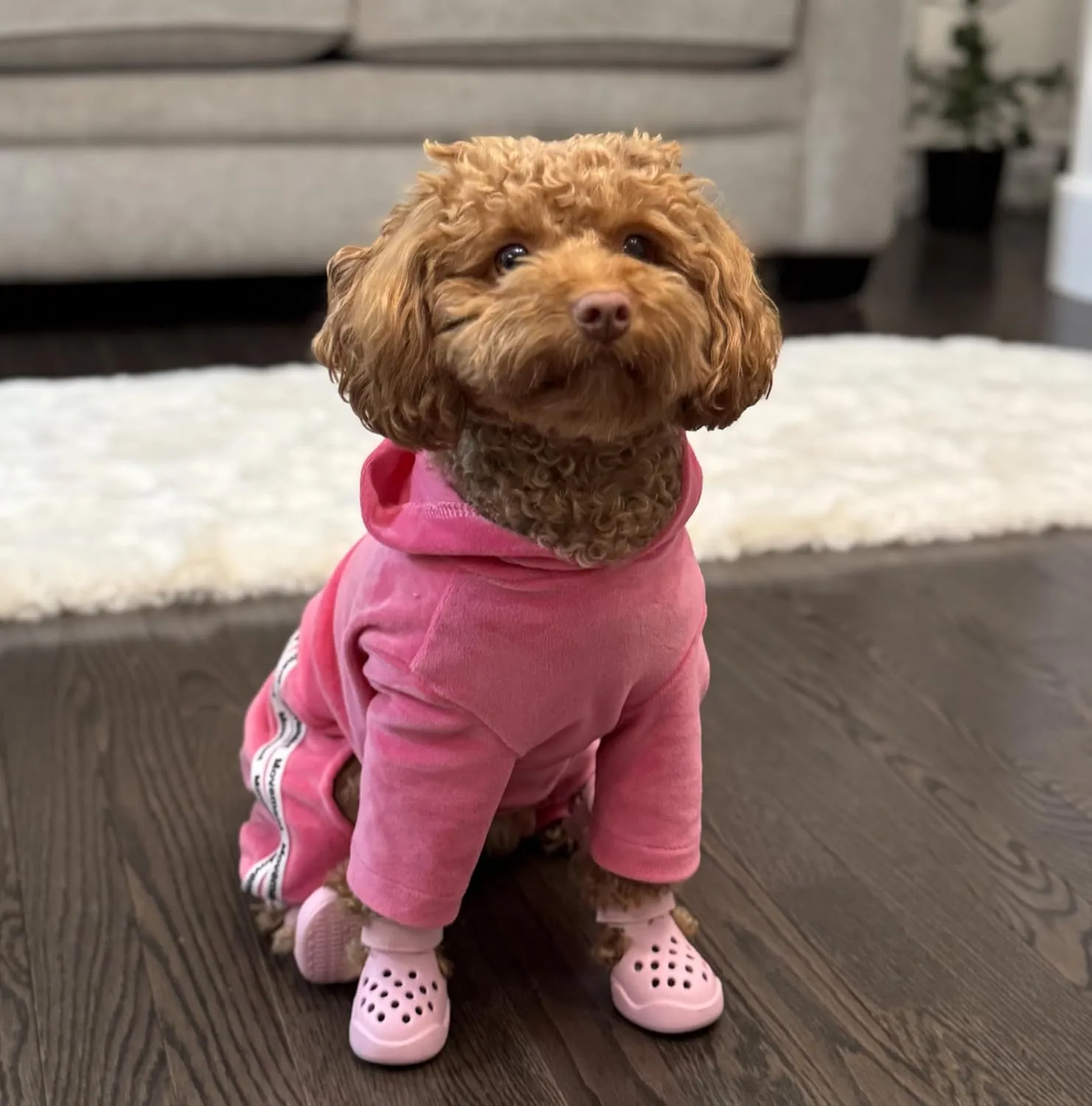 Dog Shoes: Non-Slip Waterproof Sandals for Hot Pavement & Winter, Breathable Perforated Boots, Large/Medium/Small Sizes, Ideal Paw Protector, Outdoor Clog Booties (Pink, Size 1: (1.92’'x1.49'')(L*W))