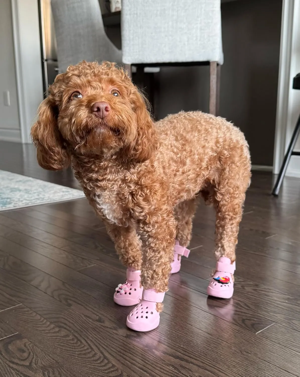 Dog Shoes: Non-Slip Waterproof Sandals for Hot Pavement & Winter, Breathable Perforated Boots, Large/Medium/Small Sizes, Ideal Paw Protector, Outdoor Clog Booties (Pink, Size 1: (1.92’'x1.49'')(L*W))