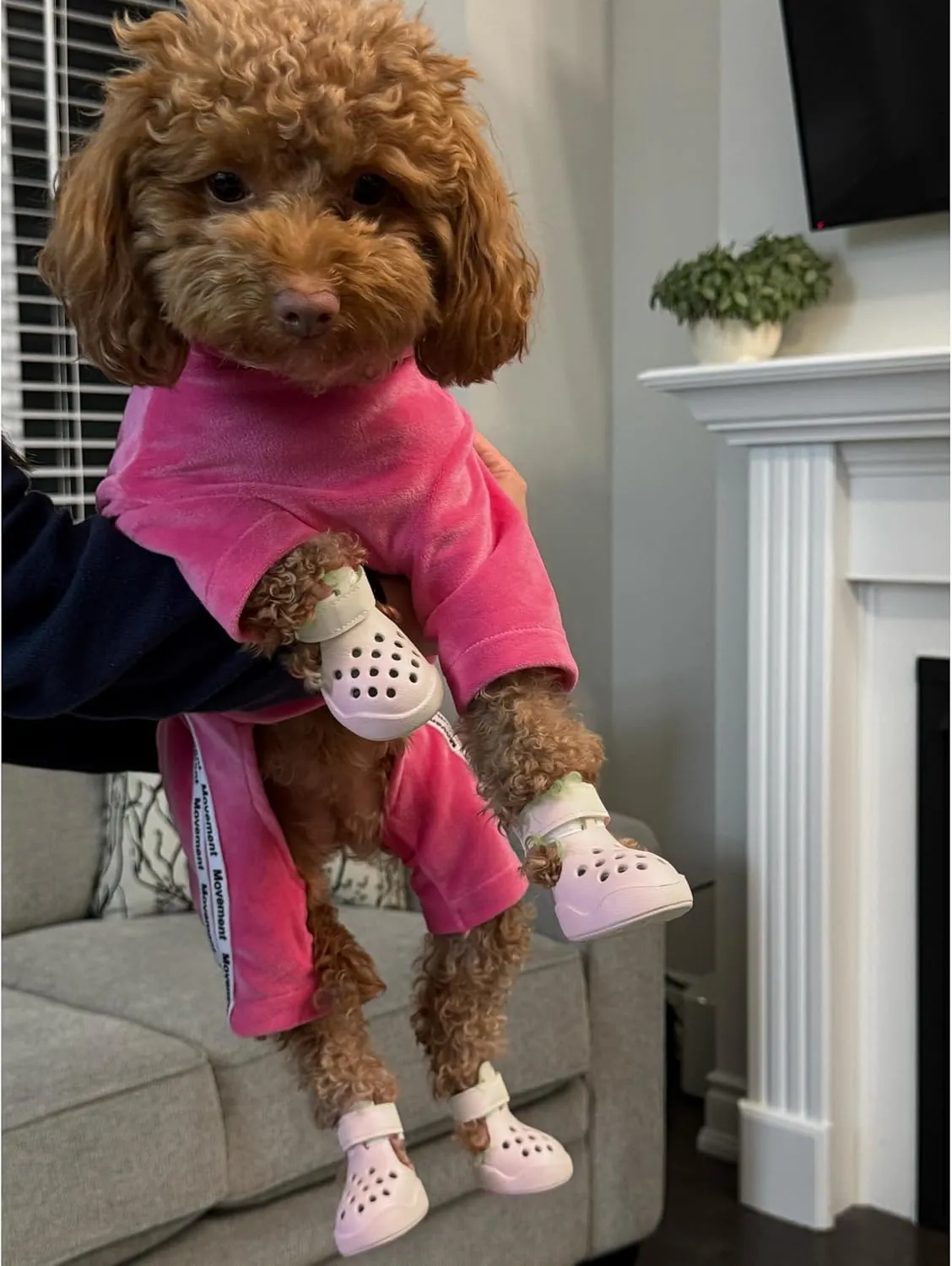Dog Shoes: Non-Slip Waterproof Sandals for Hot Pavement & Winter, Breathable Perforated Boots, Large/Medium/Small Sizes, Ideal Paw Protector, Outdoor Clog Booties (Pink, Size 1: (1.92’'x1.49'')(L*W))