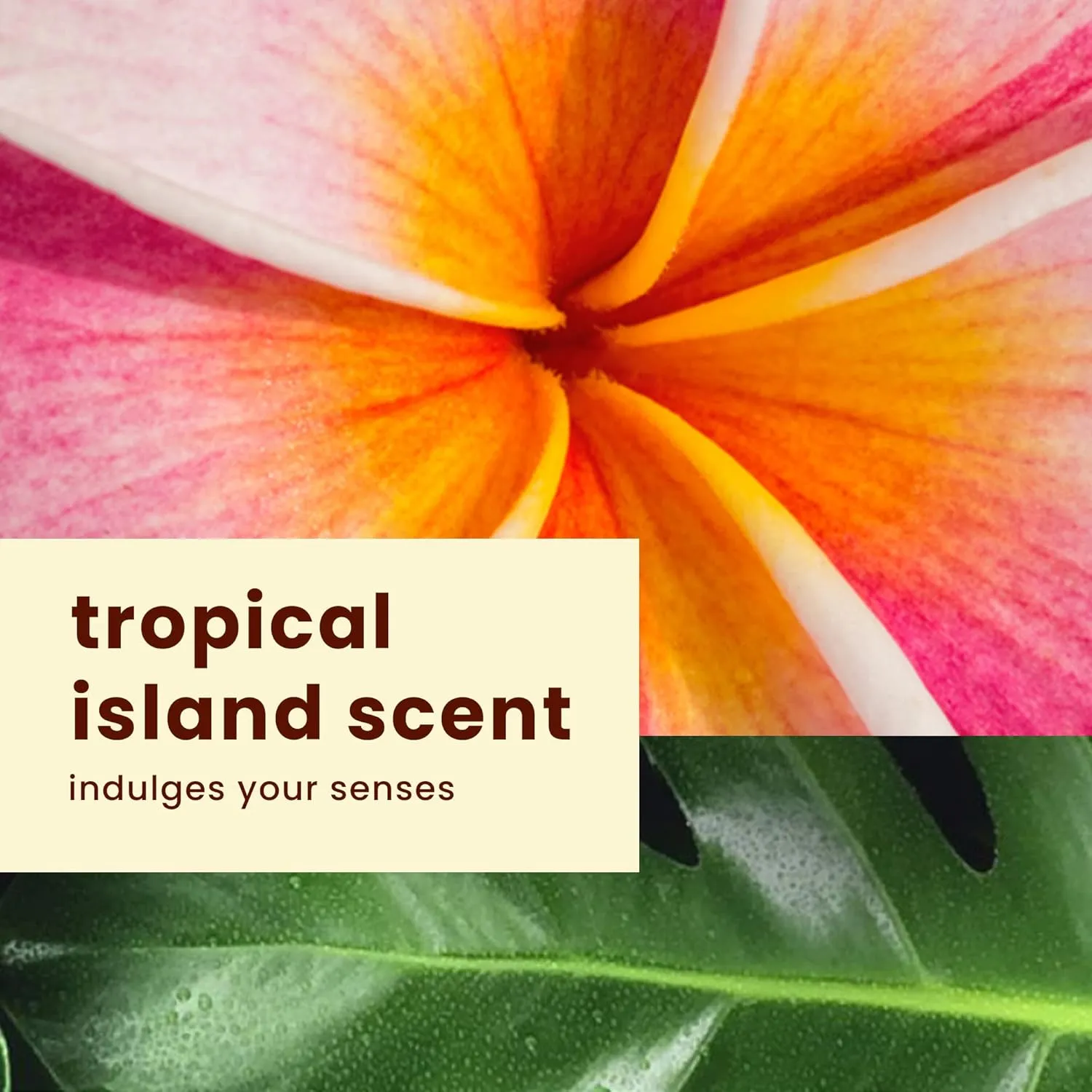Hawaiian Tropic Island 8 Ounce Sport Broad Spectrum Sunscreen Lotion with SPF 50