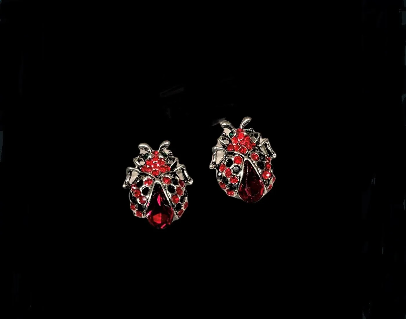 Ladybug Brooches