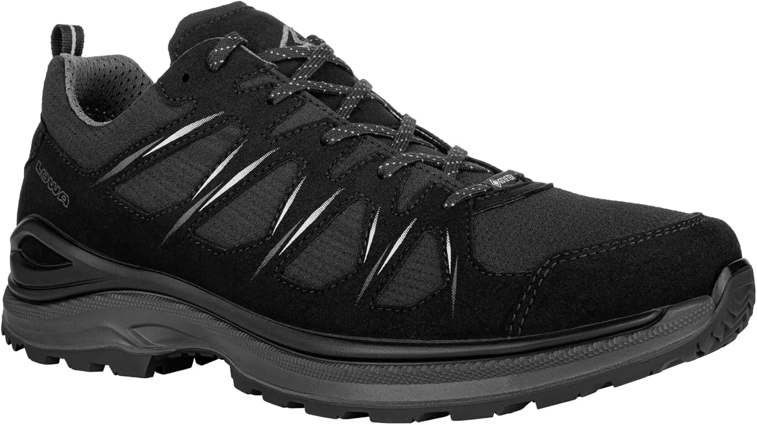 LOWA Innox EVO II GTX Low Shoe