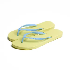Nice Flip Flop
