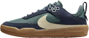 Nike SB Day One Big Kids' Skate Shoes (FN4210-401, Thunder Blue/Vintage Green/Gum Light Brown) Size 5