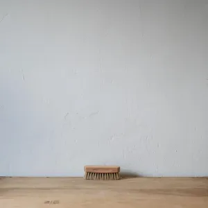 Shoe Brush Light
