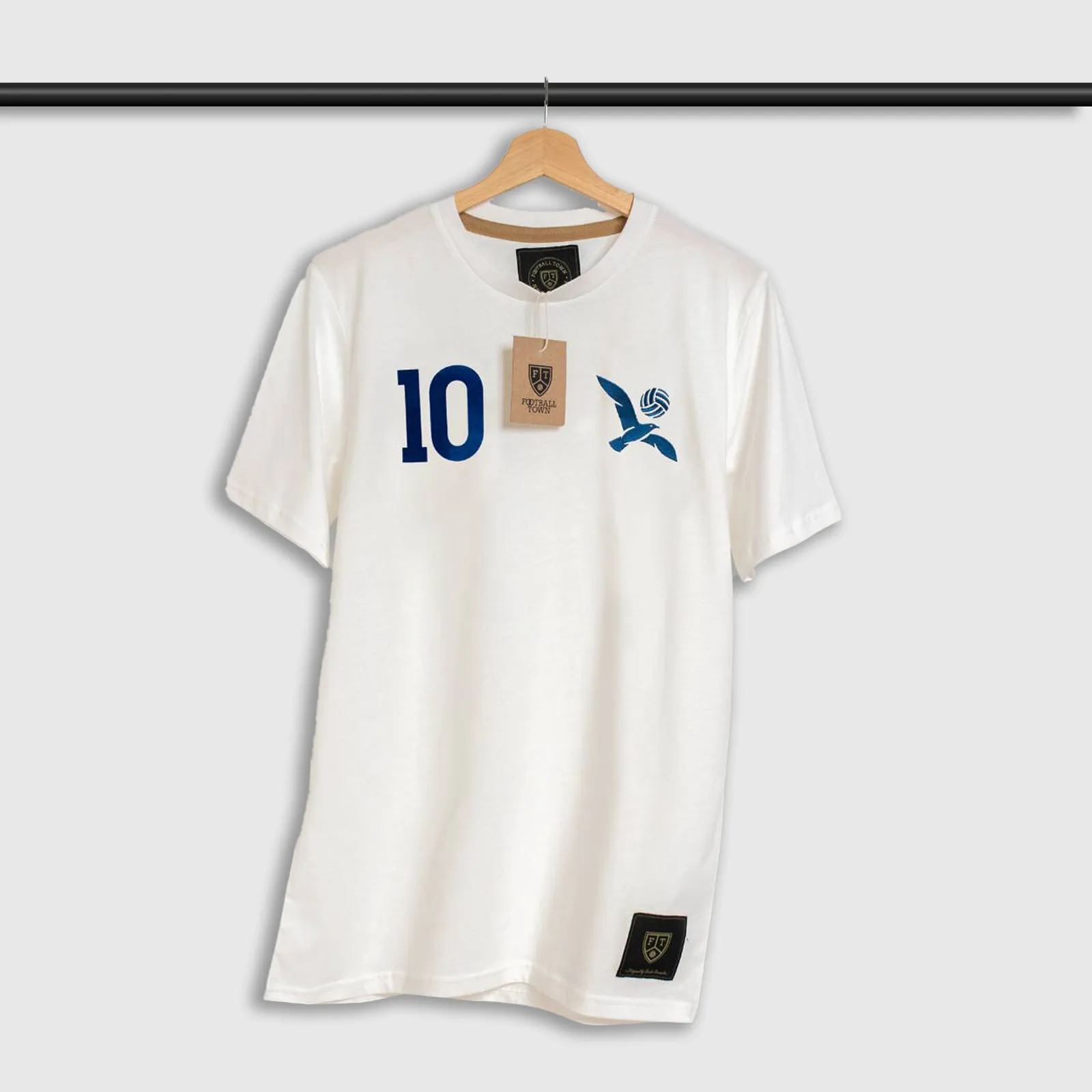 The Seagull 10